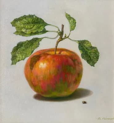 Яблоко (2024). Иванов В.. холст, масло, 40×40 см