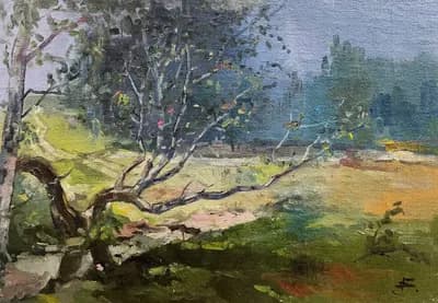 Күлмес бойында. Досымов Б.. холст, масло, 35×50 см