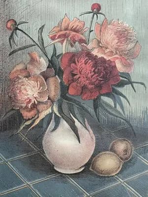 Пионы (1976). Аносова М.. литография, 36×46 см