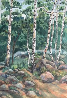 Пейзаж. Березы. Аксёнов Г.. картон, масло, 50×35 см